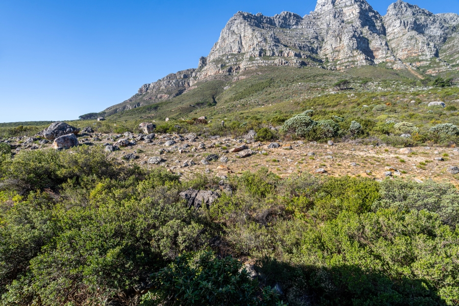2 Bedroom Property for Sale in Camps Bay Western Cape